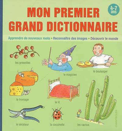 Mon premier grand dictionnaire