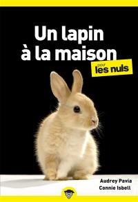 Un lapin à la maison pour les nuls