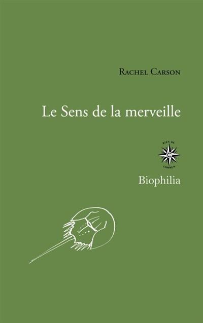 Le sens de la merveille