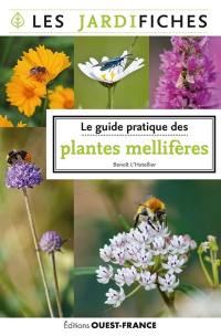 Le guide pratique des plantes mellifères