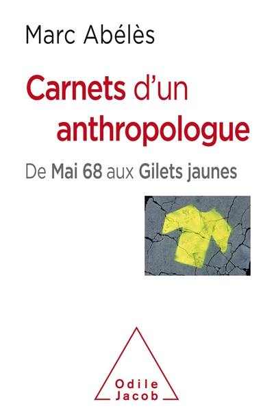 Carnets d'un anthropologue : de mai 68 aux gilets jaunes