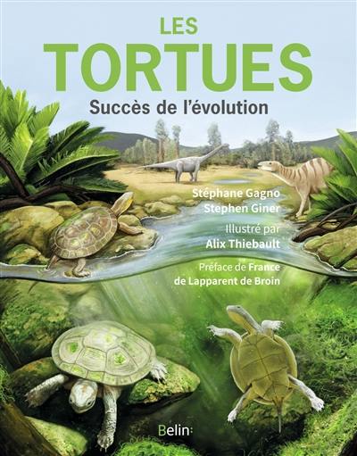 Les tortues : succès de l'évolution