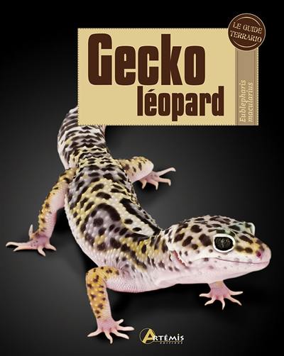 Gecko léopard : Eublepharis macularius Gecko léopard : Eublepharis macularius