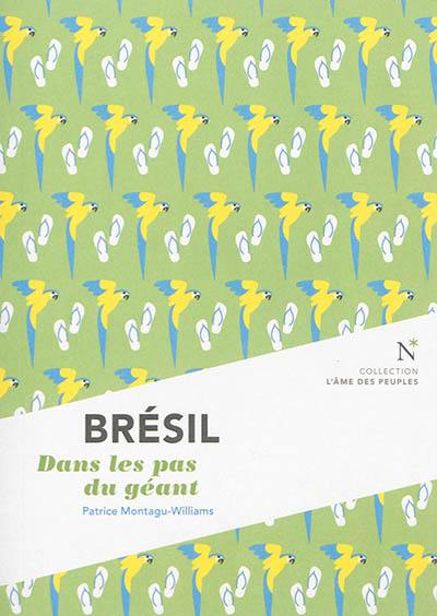 Brésil : dans les pas du géant