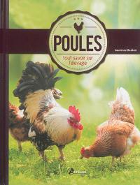 Poules : tout savoir sur l'élevage