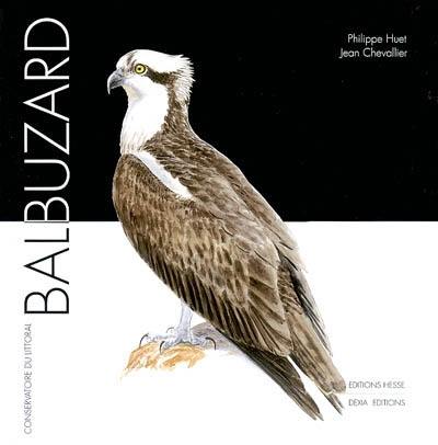 Balbuzard