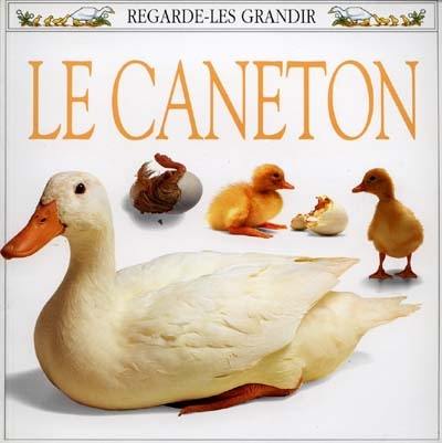 Le caneton