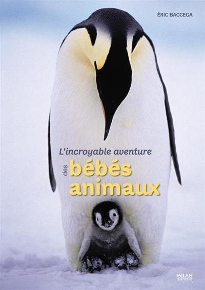 L'incroyable aventure des bébés animaux