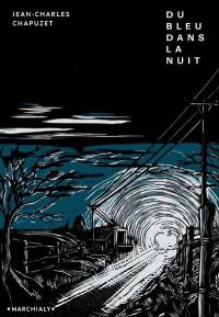 Du bleu dans la nuit : vingt-cinq heures dans la vie d'un flic