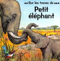 Petit éléphant