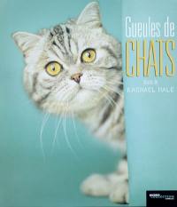 Gueules de chats