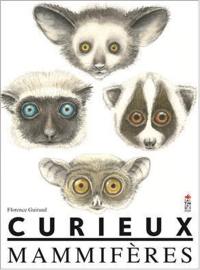 Curieux mammifères