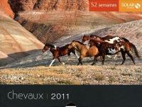 Chevaux 2011