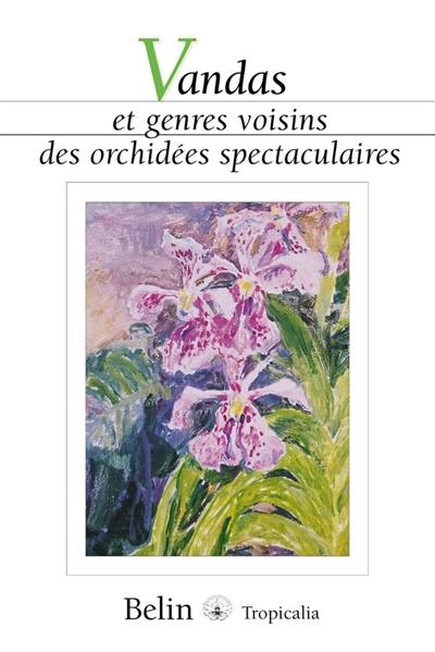 Vandas et genres voisins des orchidées spectaculaires