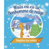 Mais où es-tu bonhomme de neige ?