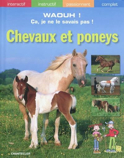 Chevaux et poneys