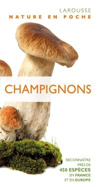 Champignons : reconnaître près de 450 espèces en France et en Europe