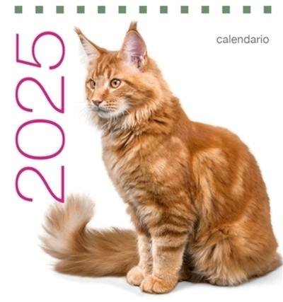 Chats : calendrier de table 2025