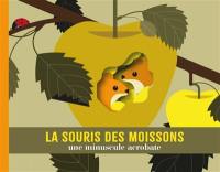 La souris des moissons : une minuscule acrobate