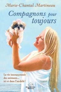 Compagnons pour toujours : vie insoupçonnée des animaux… ici et dans l’au-delà !