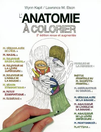 L'anatomie à colorier