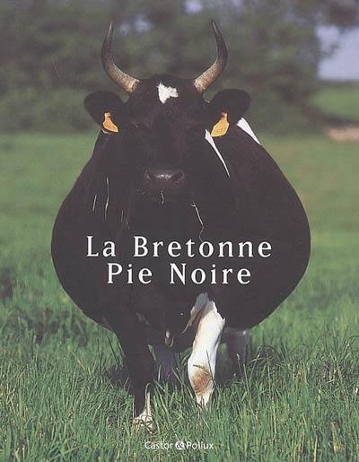 La bretonne pie noire