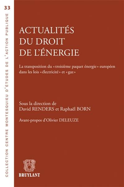 Actualités du droit de l'énergie : la transposition du troisième paquet énergétique européen dans les lois électricité et gaz