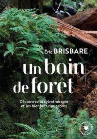 Un bain de forêt : découvrez la sylvothérapie et les bienfaits des arbres