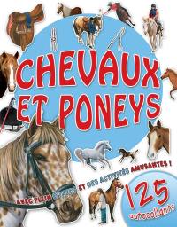 Chevaux et poneys