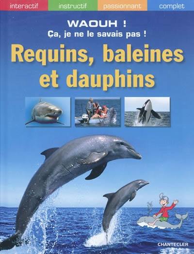 Requins, baleines et dauphins