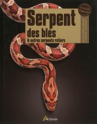 Serpent des blés & autres serpents ratiers : Pantherophis guttata, P. obsoletus, Bogertophis...