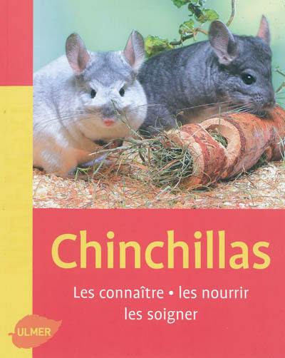 Chinchillas : les connaître, les nourrir, les soigner