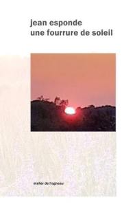 Une fourrure de soleil : et naissance de quelques livres