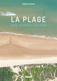 La plage : une nature cachée