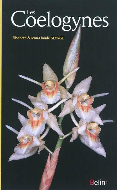 Les coelogynes