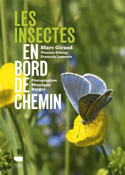 Les insectes en bord de chemin