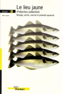 Le lieu jaune (pollachius pollachius) : biologie, pêche, marché et potentiel aquacole