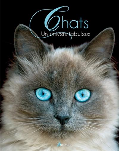 Chats : un univers fabuleux