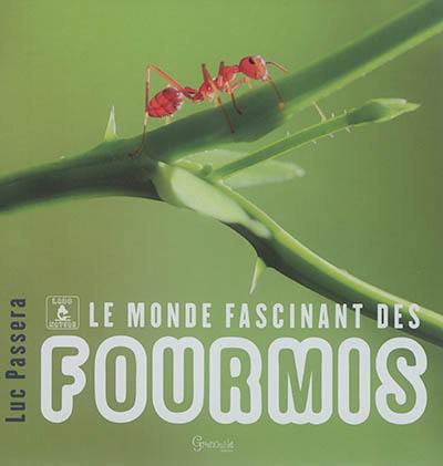 Le monde fascinant des fourmis