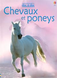 Chevaux et poneys