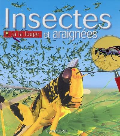 Insectes et araignées