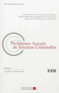 Nouveaux problèmes actuels de sciences criminelles (Les), n° 23