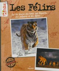 Les félins : sur les traces des lions, des léopards, des guépards et des tigres...