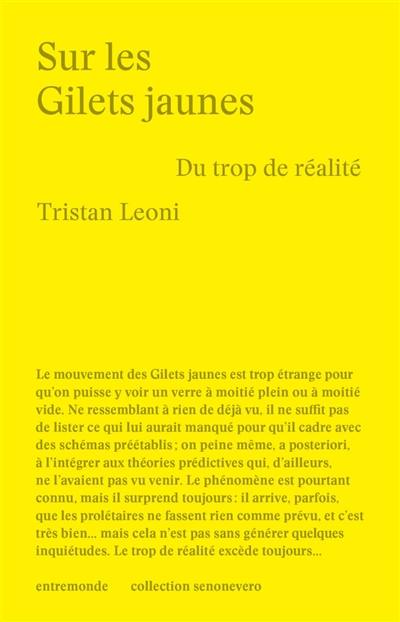 Sur les gilets jaunes : du trop de réalité