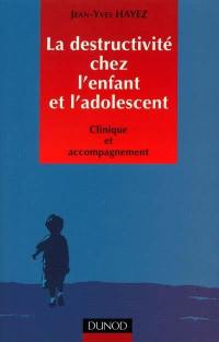 La destructivité chez l'enfant et l'adolescent : clinique et accompagnement