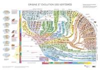 Poster origine et évolution des vertébrés