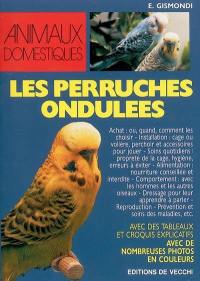 Les perruches ondulées