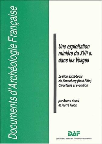 Une exploitation minière du XVIe s. dans les Vosges : le filon Saint-Louis du Neuenberg (Haut-Rhin), caractères et évolution