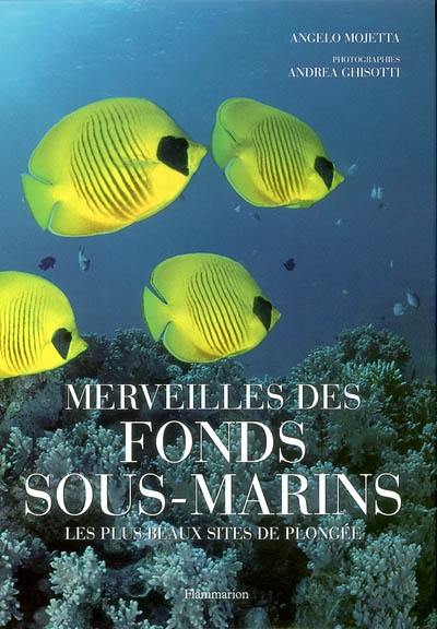 Merveilles des fonds sous-marins : les plus beaux sites de plongée