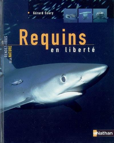 Requins en liberté